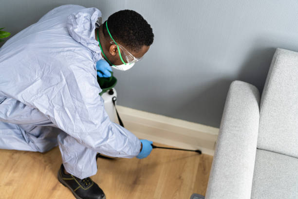 Best Fumigation Services  in Otsego, MN